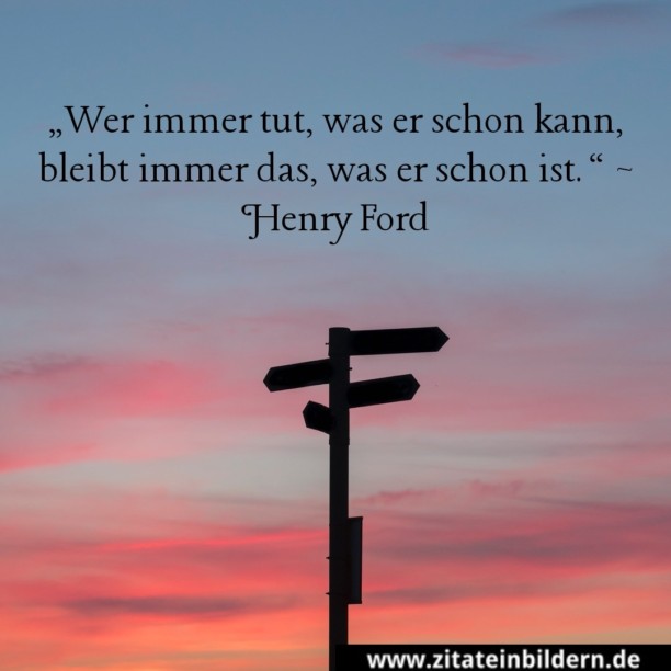 Wer immer tut, was er schon kann, bleibt immer das, was er schon ist. (Henry Ford)